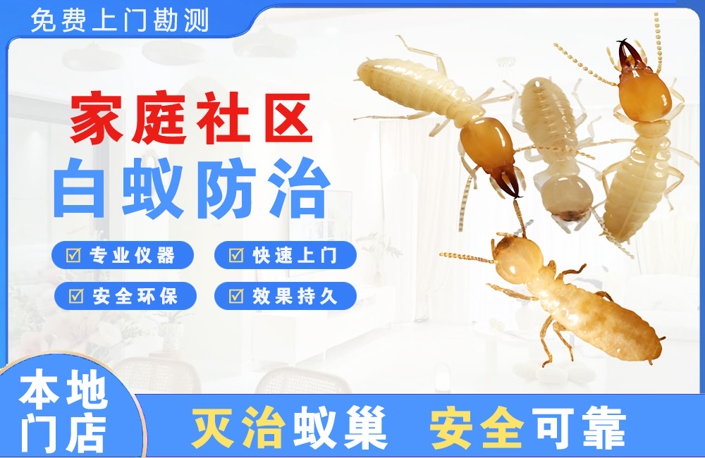 河源家庭社区白蚁防治