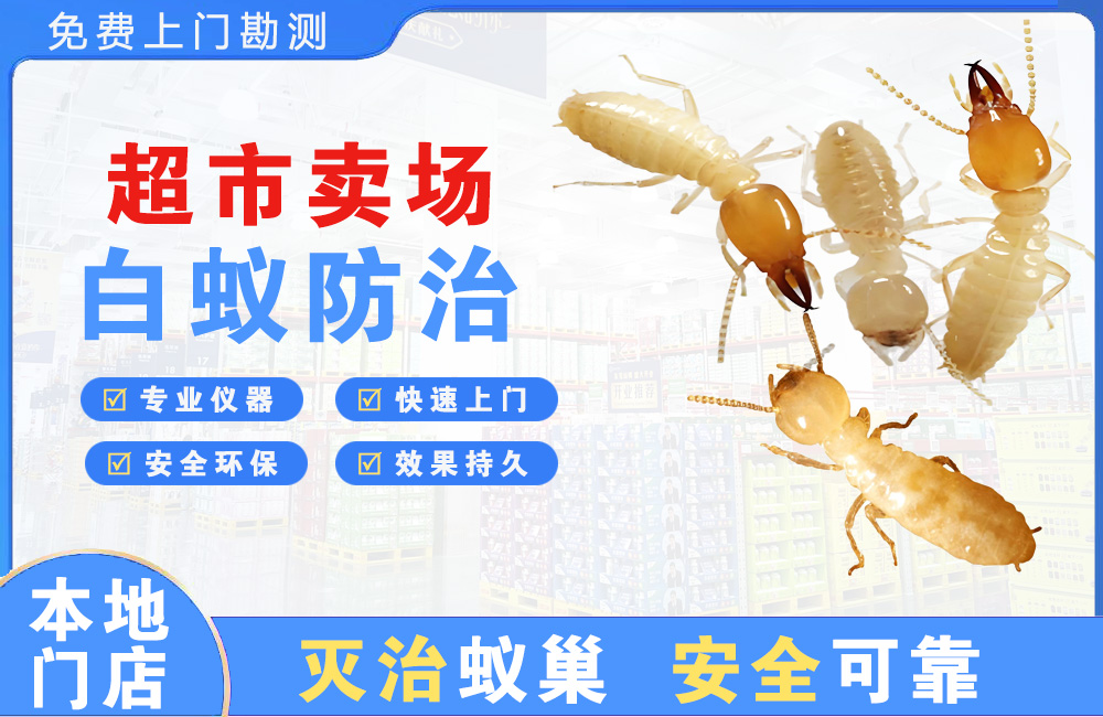 河源超市卖场白蚁防治