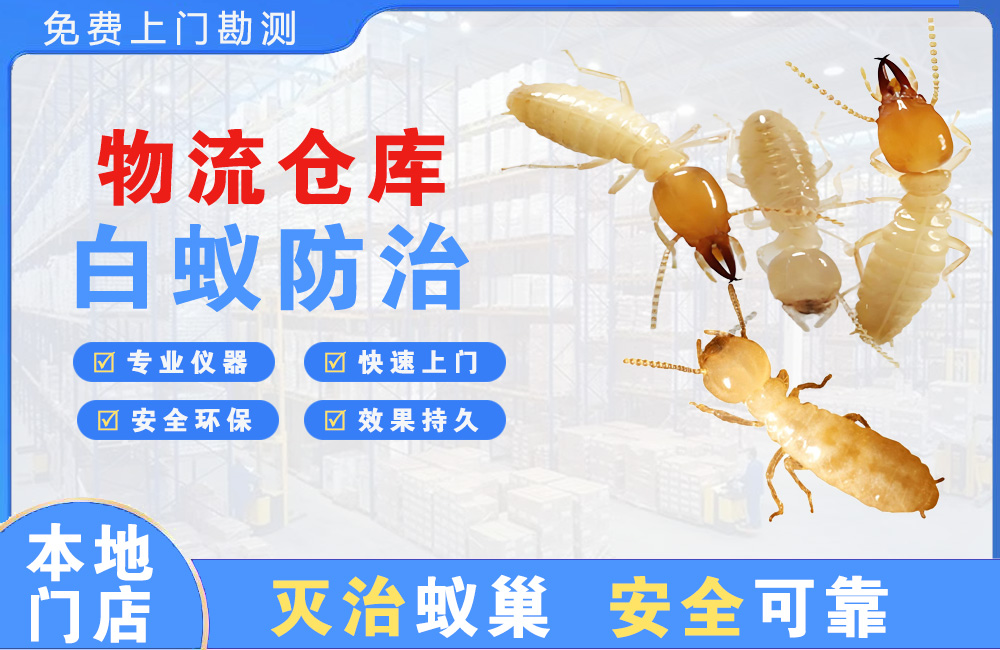 河源物流仓库白蚁防治
