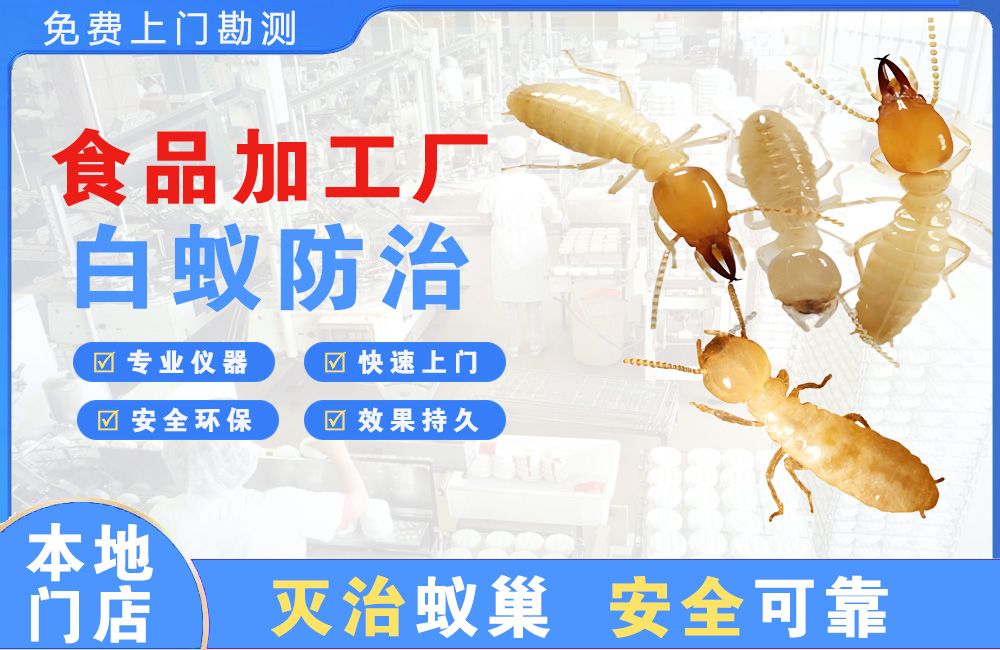 河源食品加工厂白蚁防治