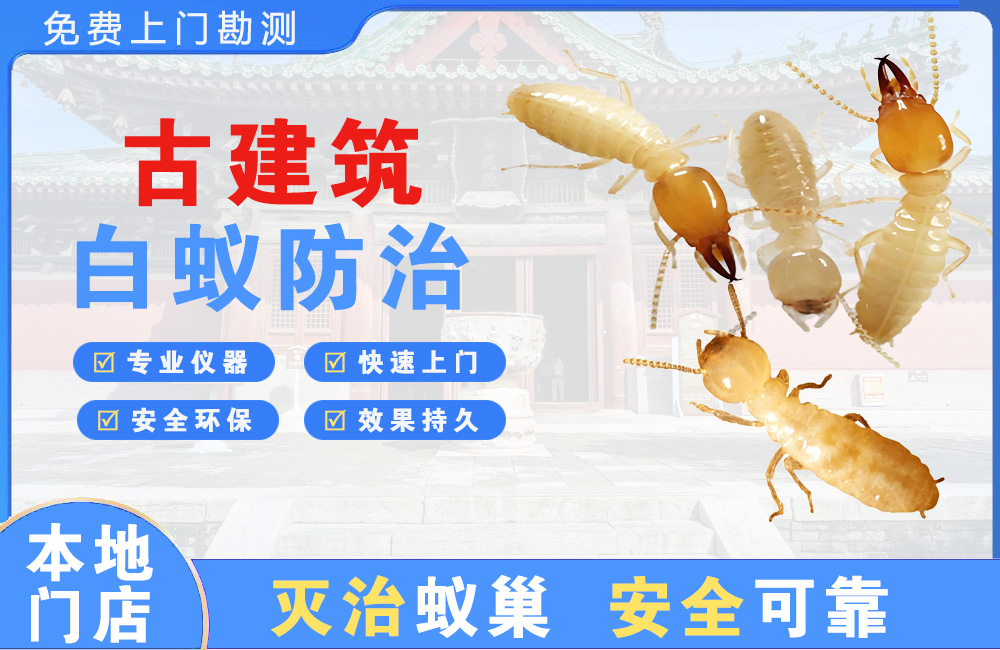 河源古建筑白蚁防治
