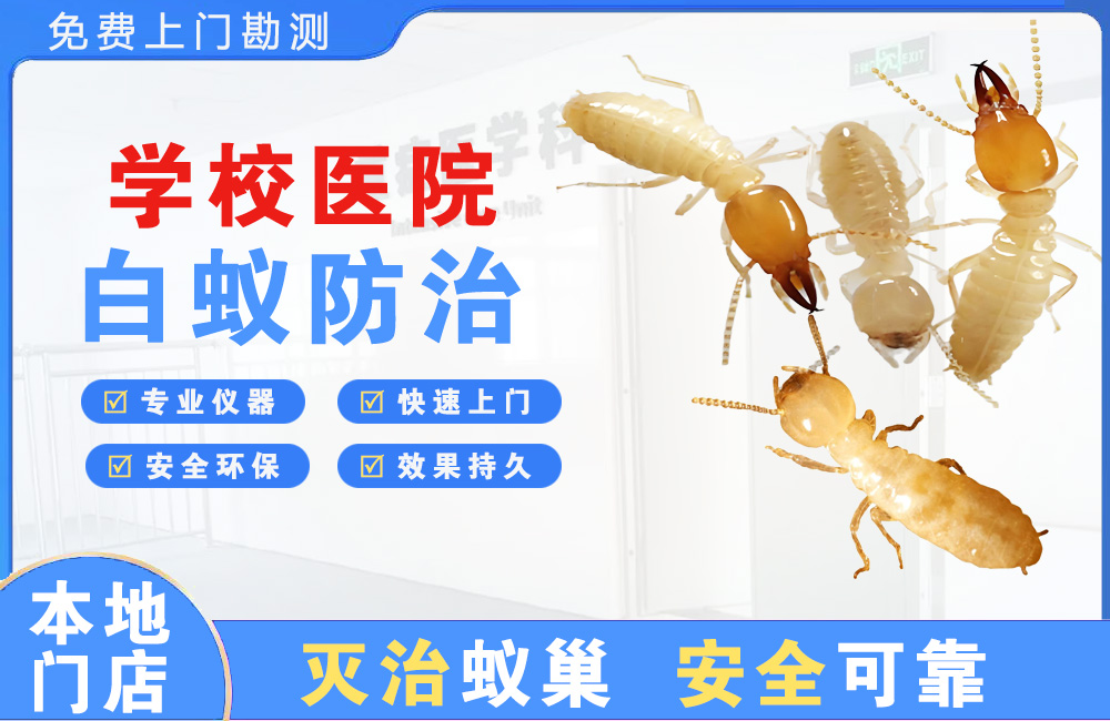 河源学校医院白蚁防治