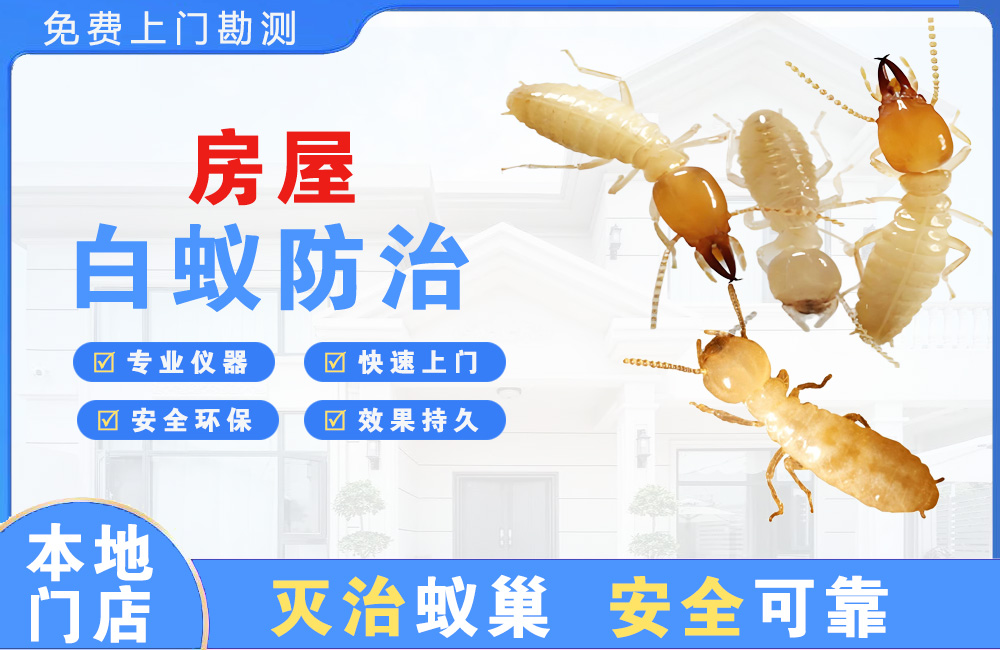 河源房屋白蚁防治