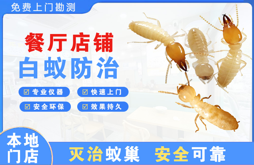 河源餐厅店铺白蚁防治